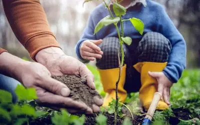 Tree Appeal Wills Initiative