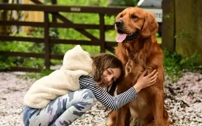 What happens to my beloved pet when I die?